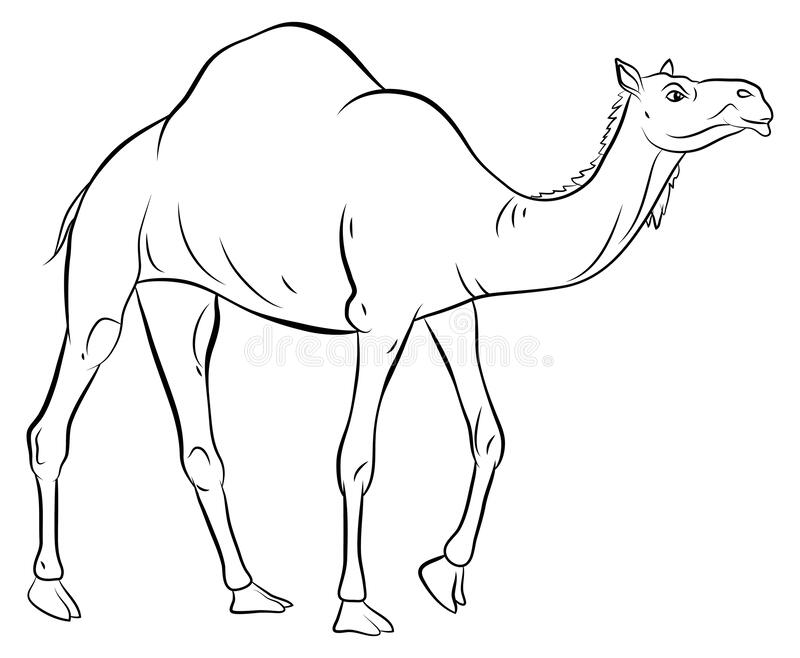 Detail Camel Black And White Clipart Nomer 43