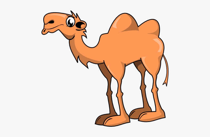 Detail Camel Cartoon Png Nomer 2