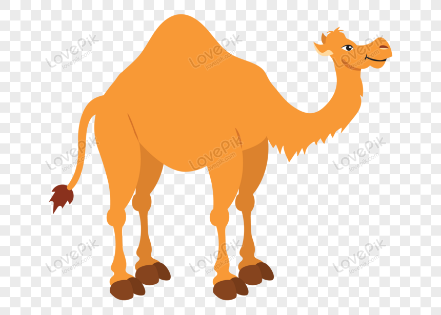 Detail Camel Cartoon Png Nomer 17