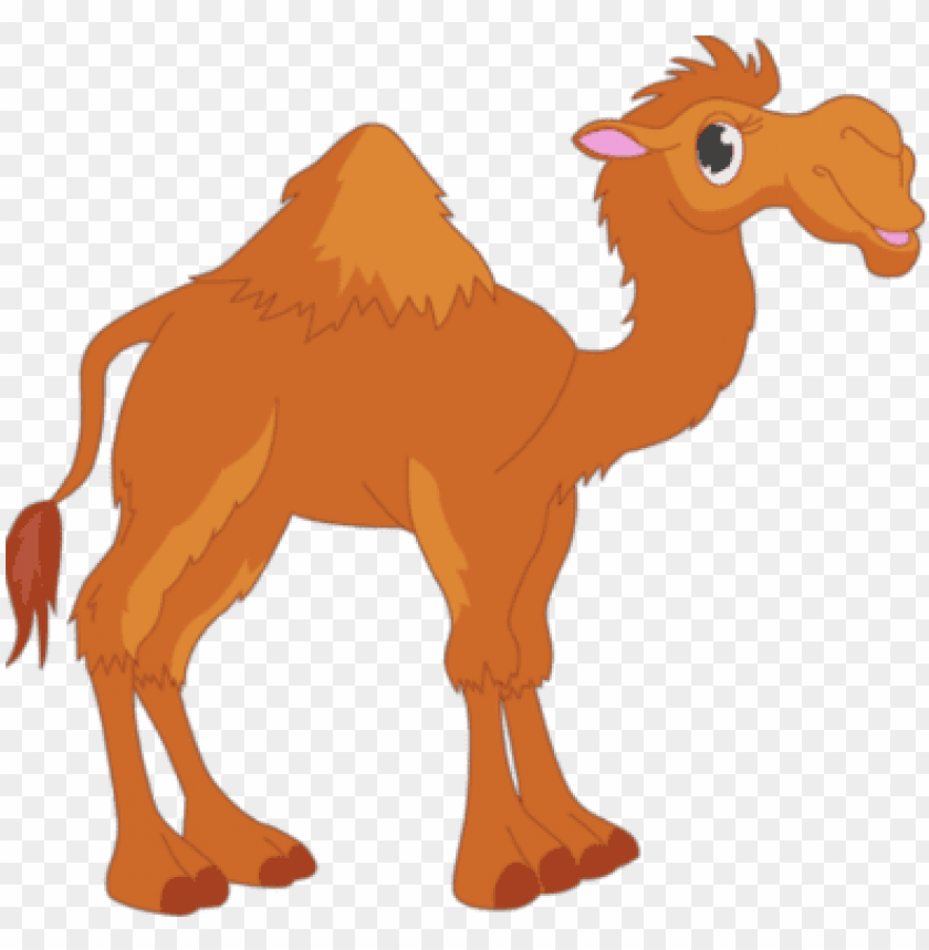 Detail Camel Cartoon Png Nomer 3