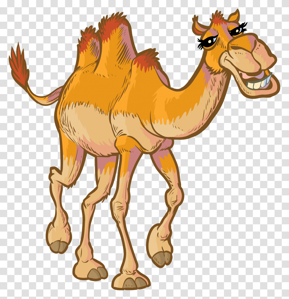 Detail Camel Cartoon Png Nomer 24