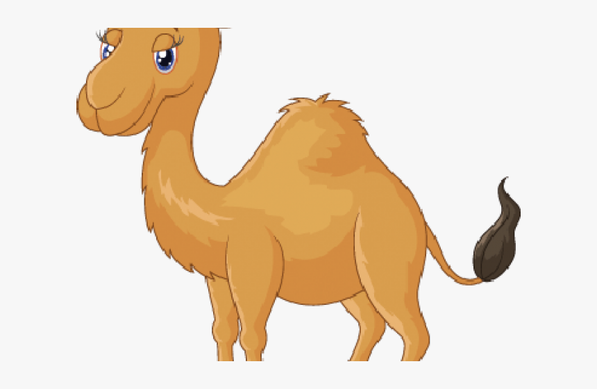 Detail Camel Cartoon Png Nomer 8