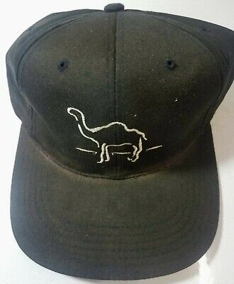 Detail Camel Cigarette Hat Nomer 25