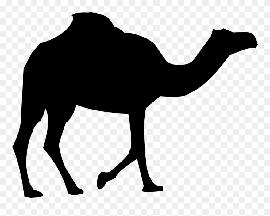 Detail Camel Clip Art Nomer 29