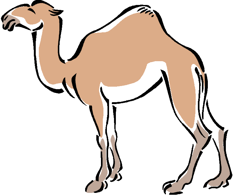 Detail Camel Clipart Nomer 9