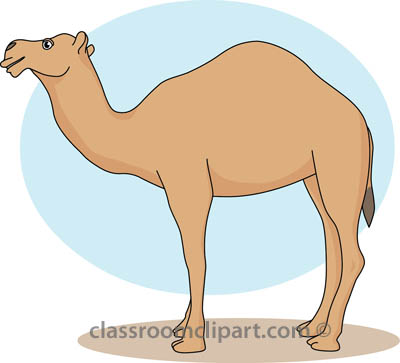 Detail Camel Clipart Nomer 33