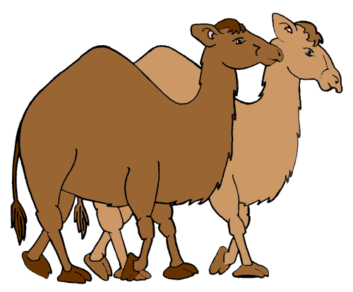 Detail Camel Clipart Nomer 34