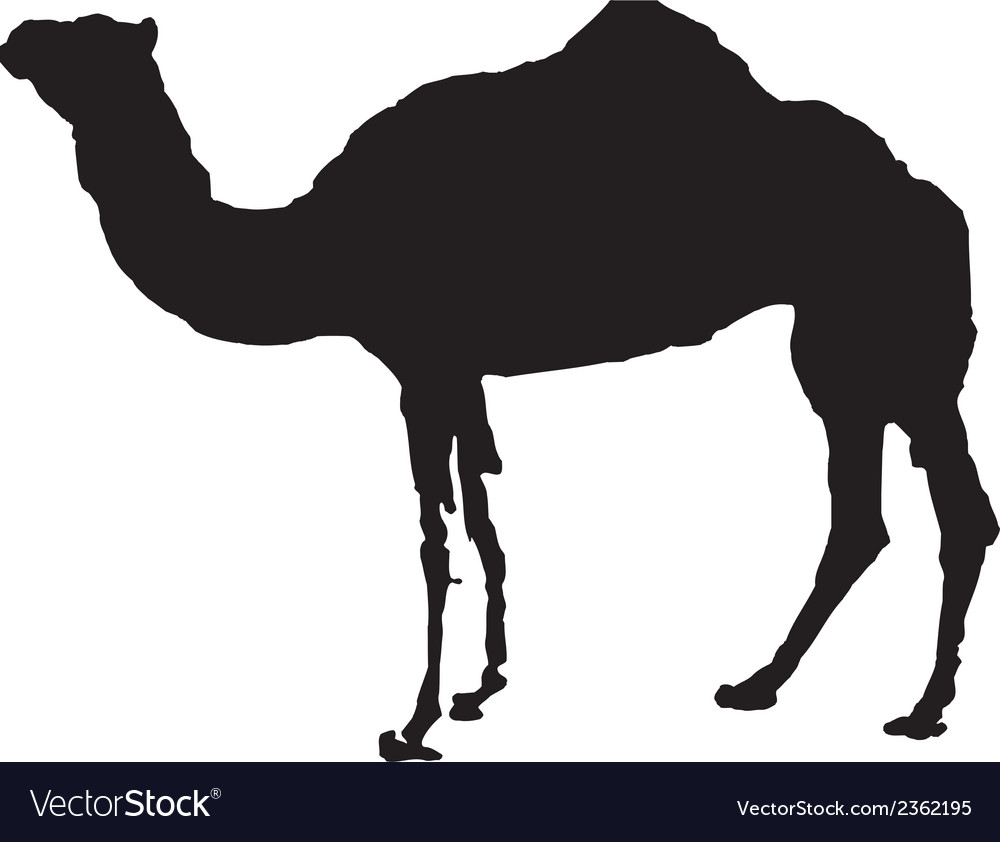 Detail Camel Clipart Nomer 46