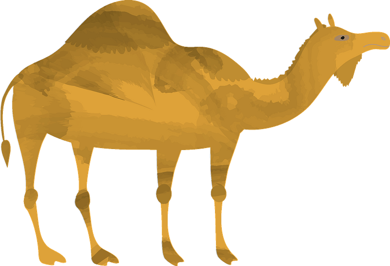 Detail Camel Clipart Nomer 47