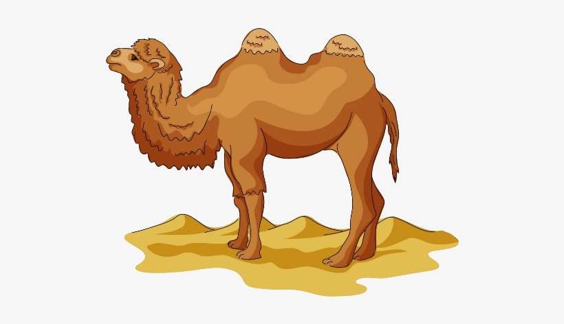 Detail Camel Clipart Nomer 48