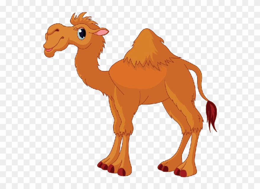 Detail Camel Clipart Free Nomer 9