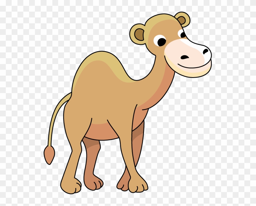 Detail Camel Clipart Free Nomer 22