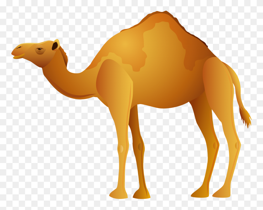 Detail Camel Clipart Free Nomer 36