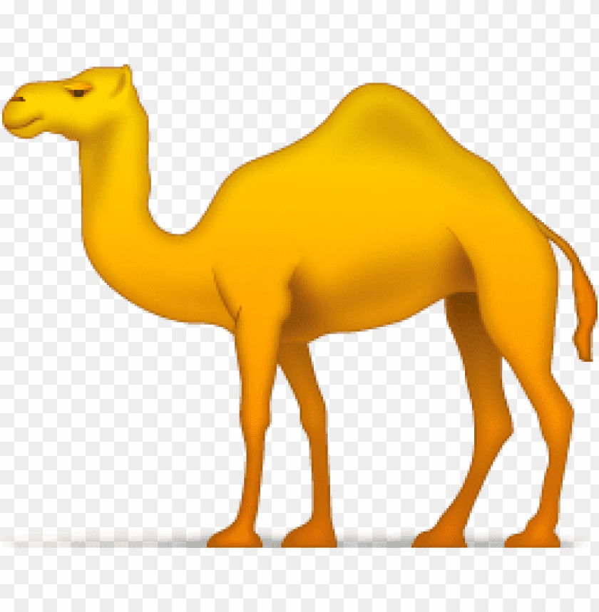 Detail Camel Download Nomer 26