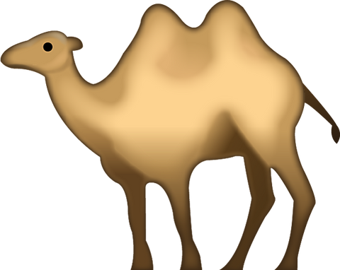 Detail Camel Download Nomer 31