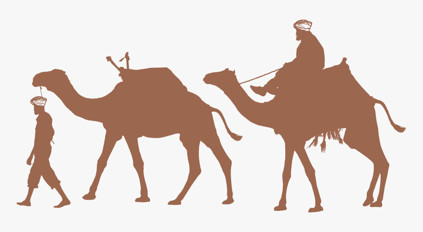 Detail Camel Download Nomer 44