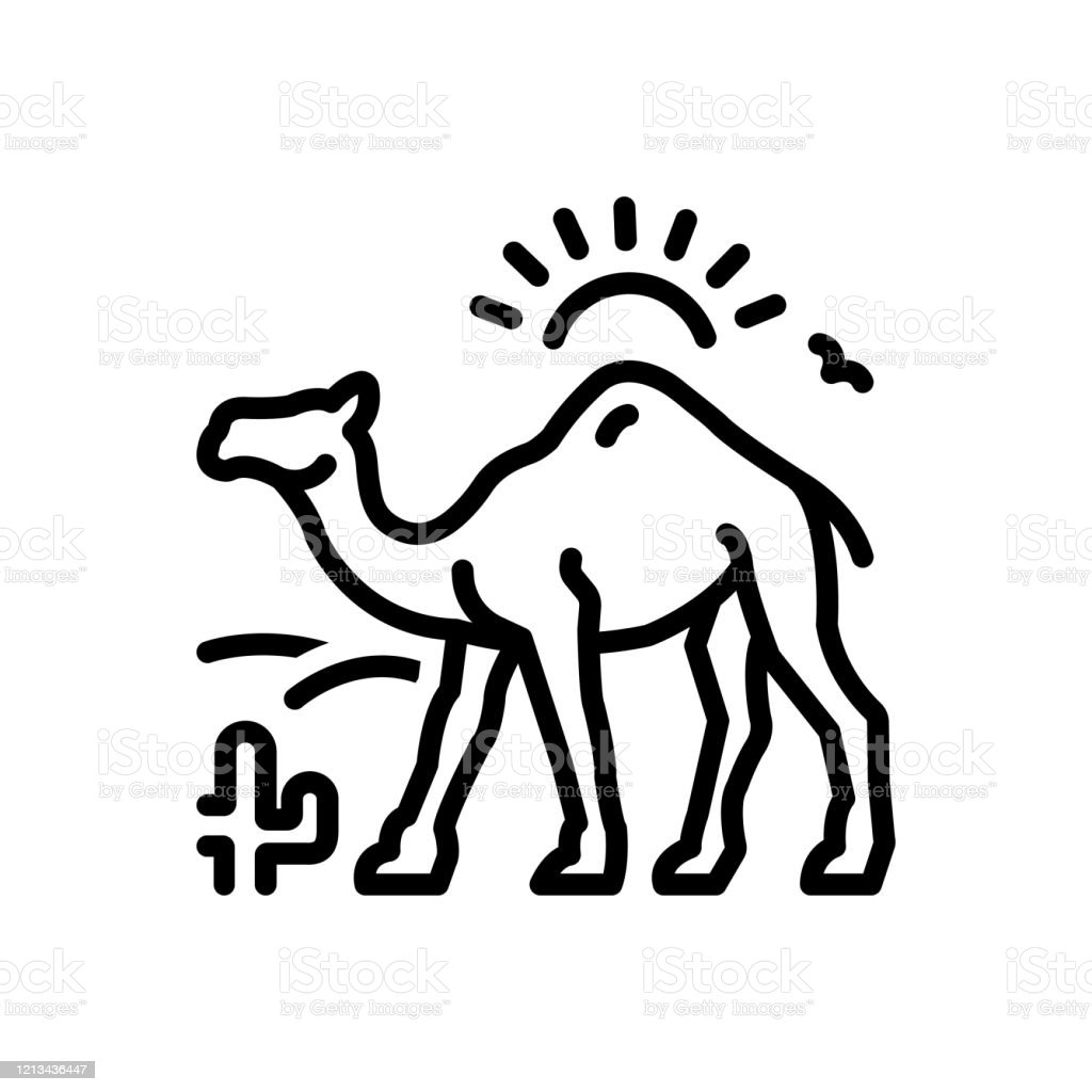 Detail Camel Download Nomer 51