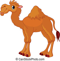 Detail Camel Images Free Nomer 26
