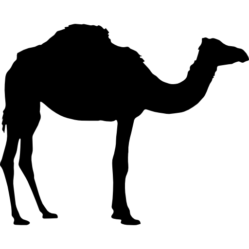 Detail Camel Images Free Nomer 27