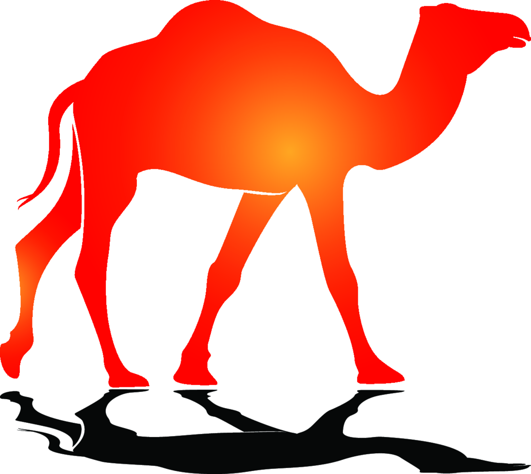 Detail Camel Images Free Nomer 37