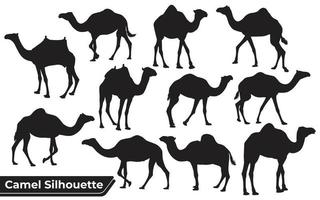 Detail Camel Images Free Nomer 39