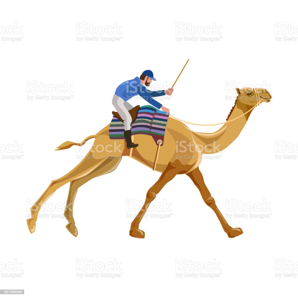 Detail Camel Jockey Meme Nomer 20