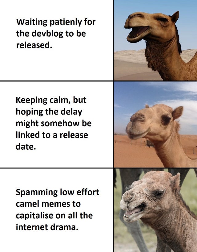Detail Camel Jockey Meme Nomer 34