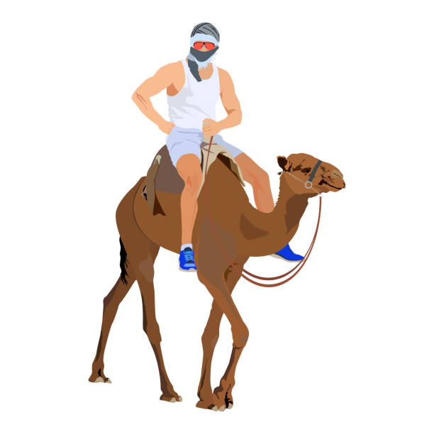 Detail Camel Jockey Meme Nomer 49