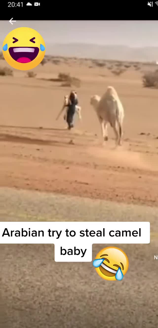 Detail Camel Jockey Meme Nomer 53