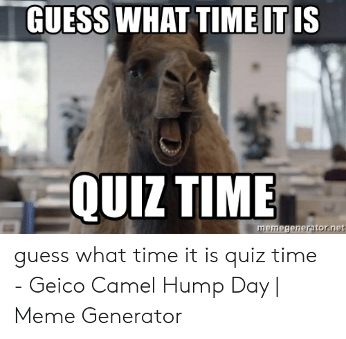 Detail Camel Meme Generator Nomer 24