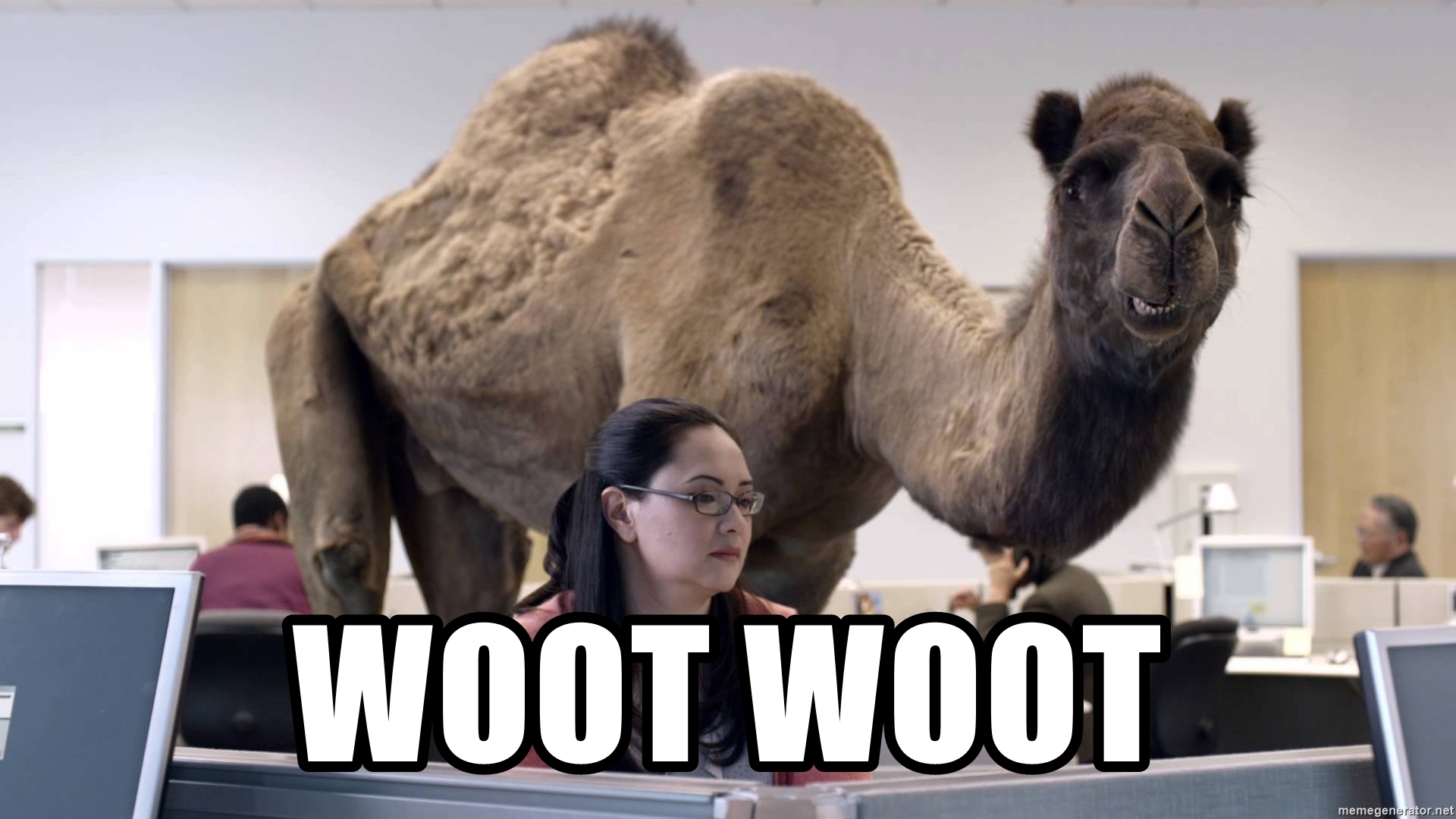 Detail Camel Meme Generator Nomer 25