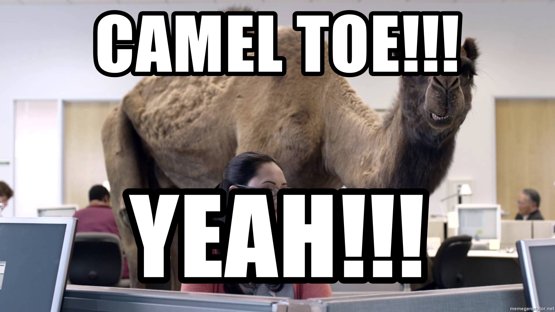Detail Camel Meme Generator Nomer 29