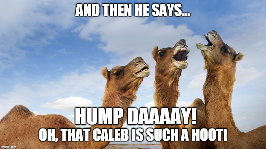 Detail Camel Meme Generator Nomer 32