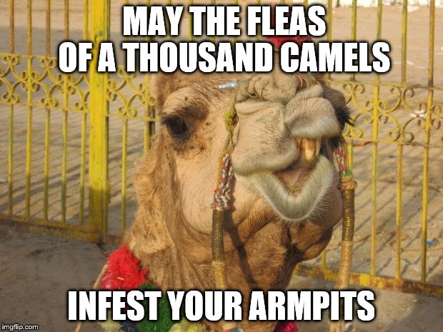 Detail Camel Meme Generator Nomer 36