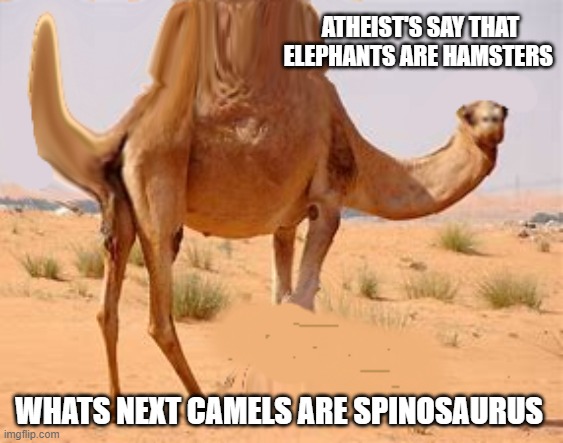 Detail Camel Meme Generator Nomer 40