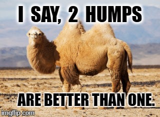 Detail Camel Meme Generator Nomer 48