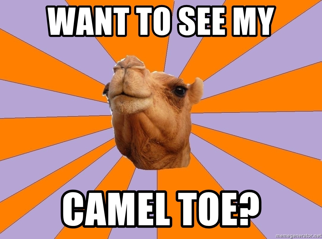 Detail Camel Meme Generator Nomer 9