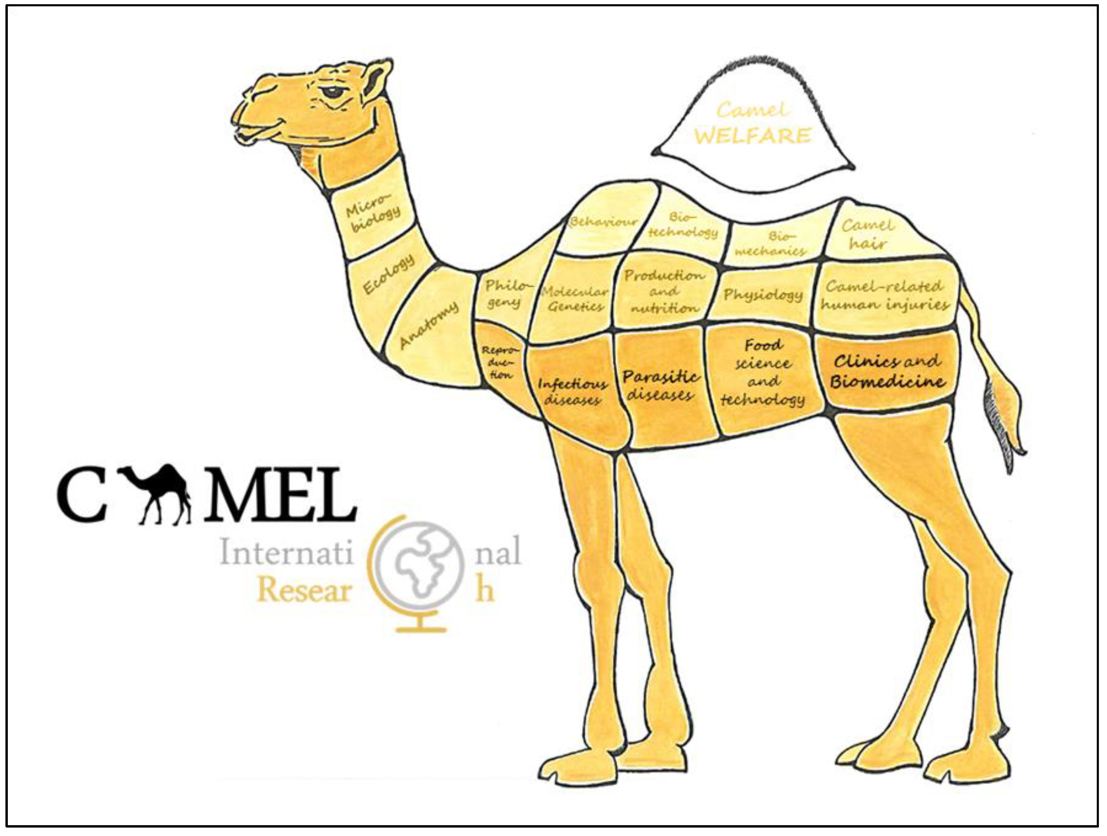 Detail Camel Pic Nomer 22