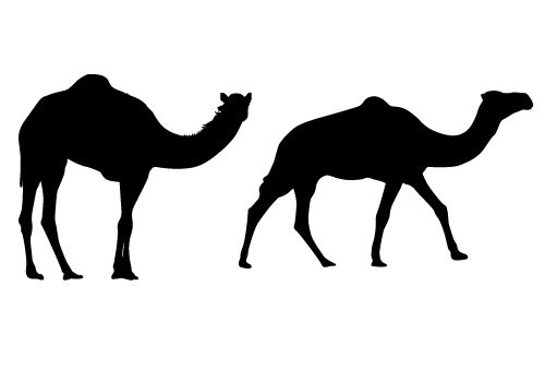 Detail Camel Silhouette Clip Art Nomer 27