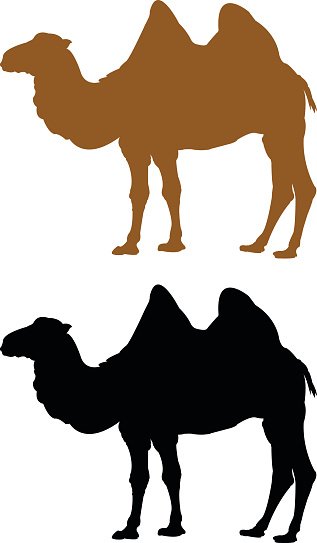 Detail Camel Silhouette Clip Art Nomer 28