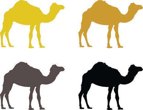 Detail Camel Silhouette Clip Art Nomer 32