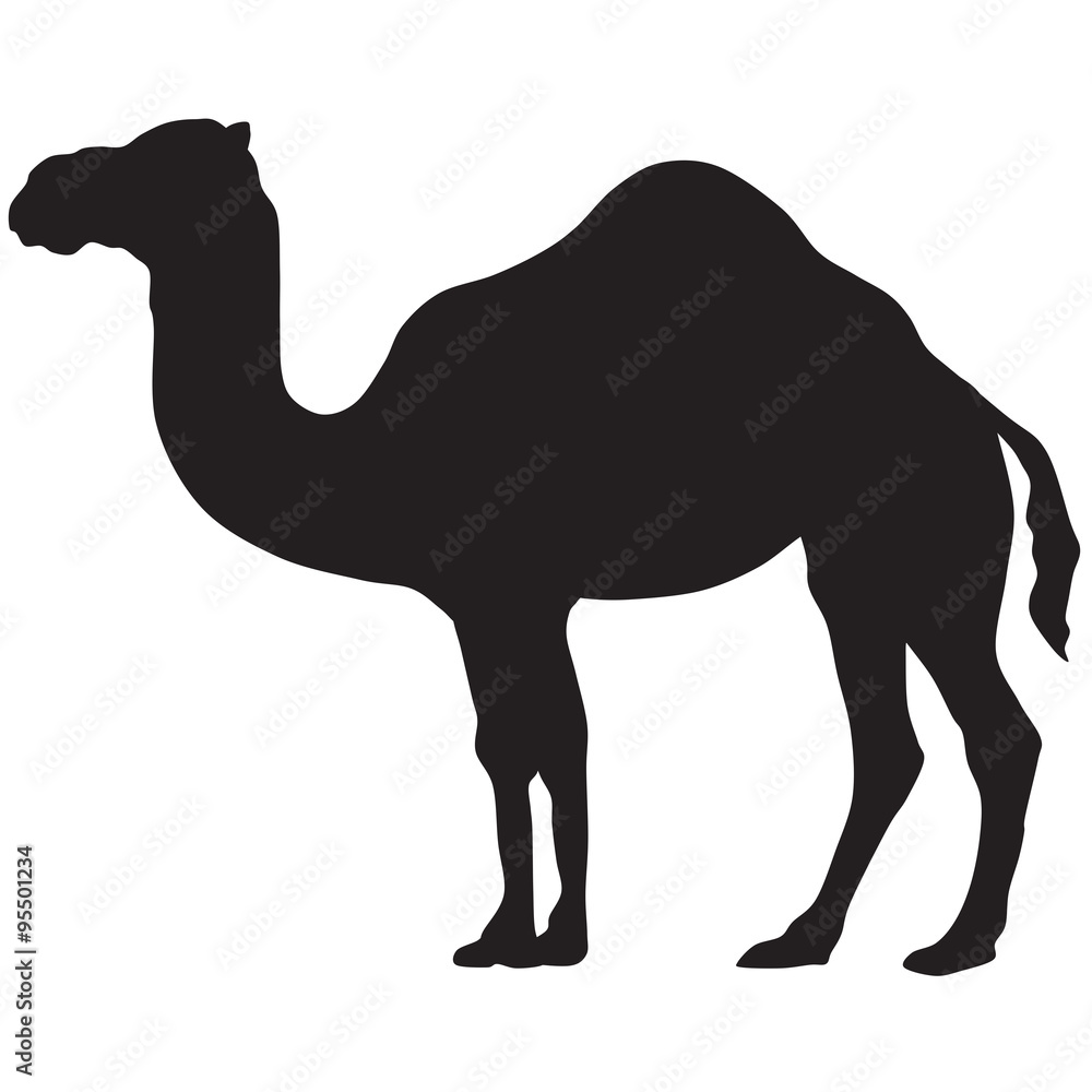 Detail Camel Silhouette Clip Art Nomer 9