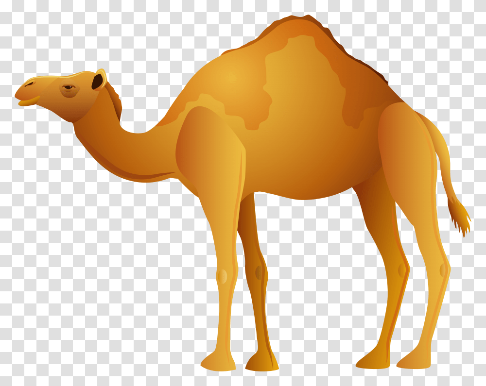 Detail Camel Transparent Background Nomer 11