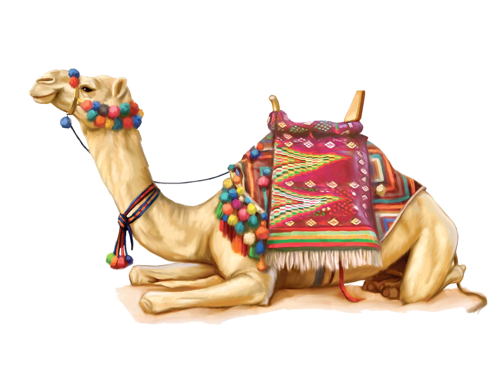 Detail Camel Transparent Background Nomer 15