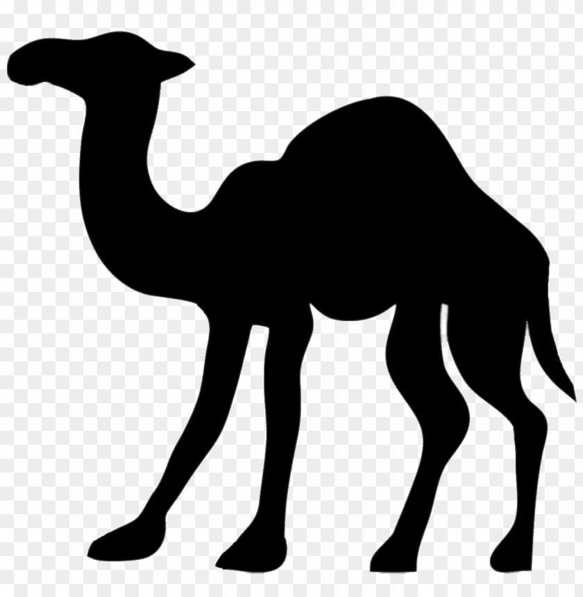 Detail Camel Transparent Background Nomer 17