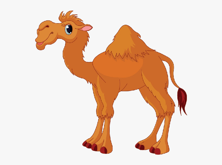 Detail Camel Transparent Background Nomer 25