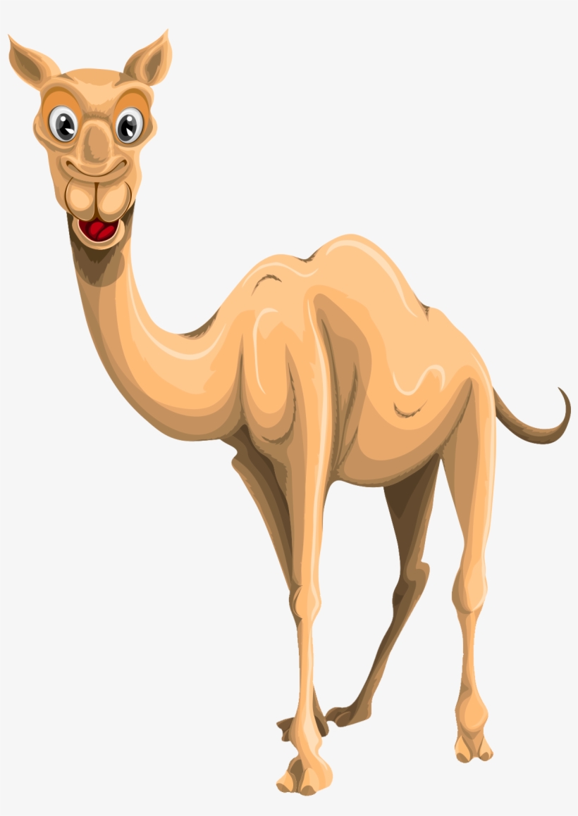 Detail Camel Transparent Background Nomer 32
