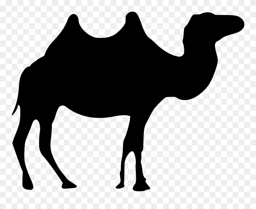 Detail Camel Transparent Background Nomer 33