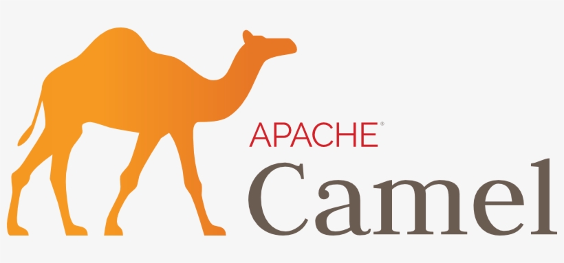 Detail Camel Transparent Background Nomer 45