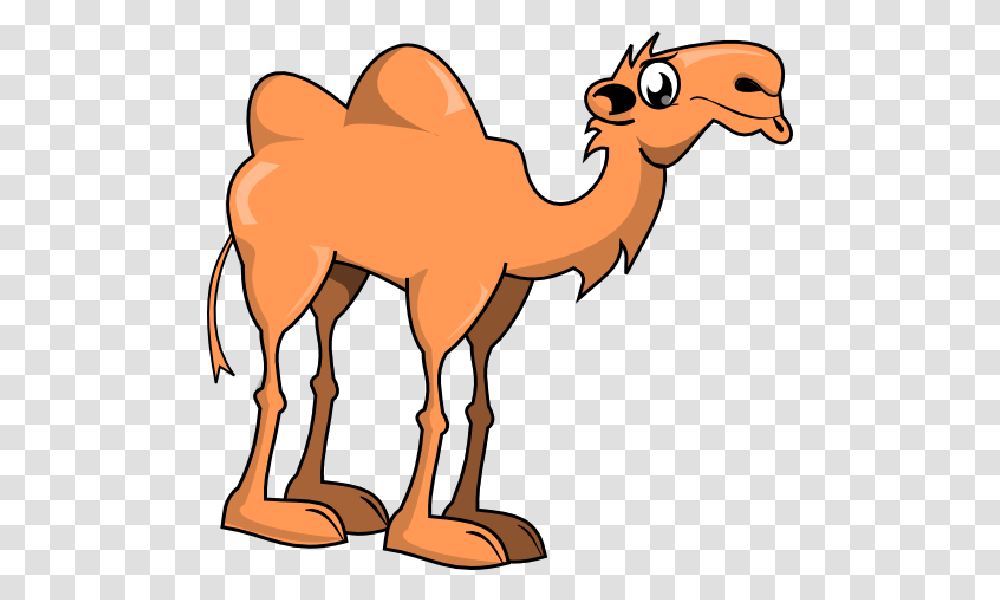 Detail Camel Transparent Background Nomer 47